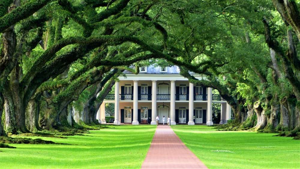 Voyage scolaire en Louisiane